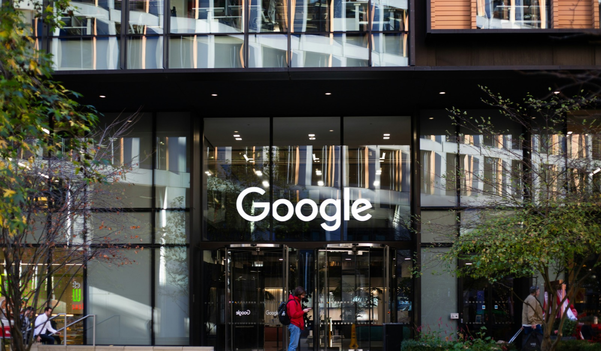 Google Cleared 815 Acres of Finnish Forest Before Environmental Reviews Were Complete, Finland Suspends Work