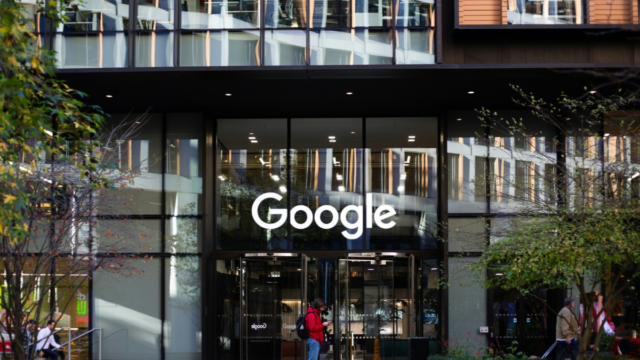 Google Cleared 815 Acres of Finnish Forest Before Environmental Reviews Were Complete, Finland Suspends Work